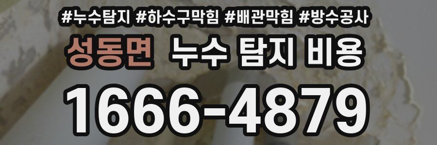성동면 누수 탐지 비용