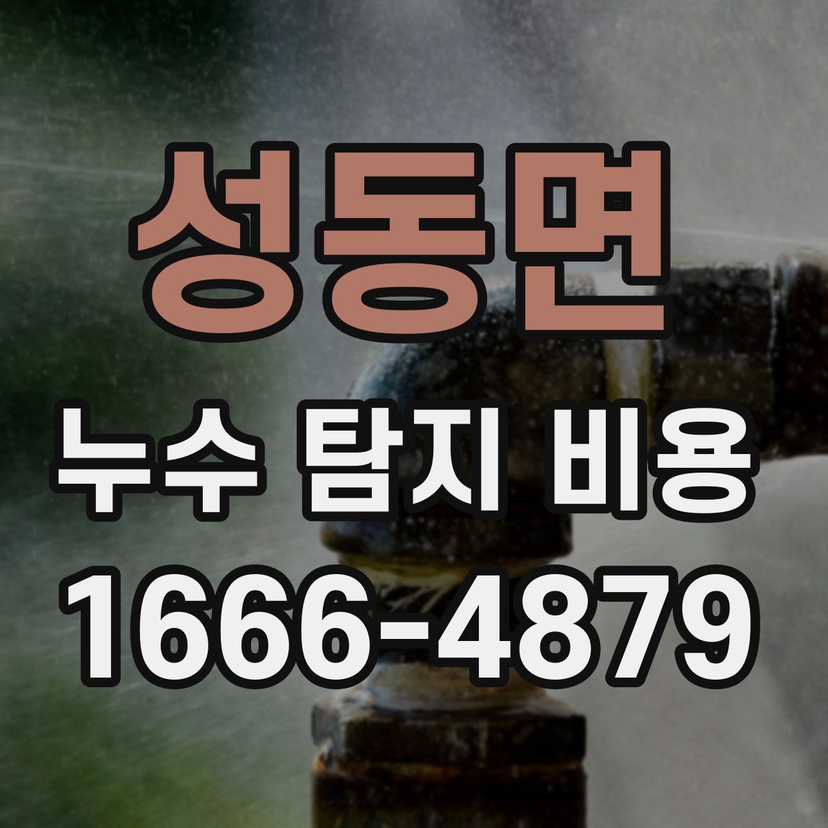 성동면 누수 탐지 비용