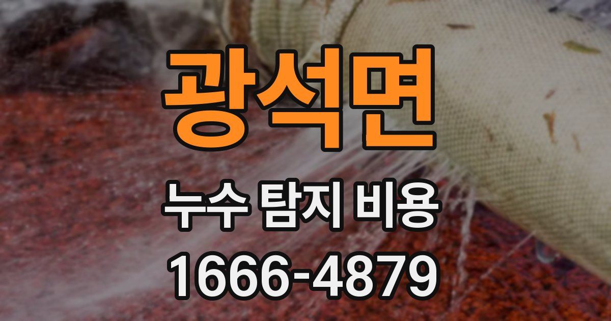 광석면 누수 탐지 비용