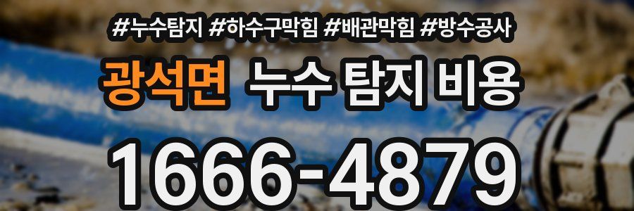 광석면 누수 탐지 비용