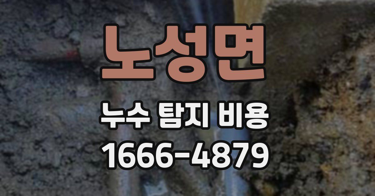 노성면 누수 탐지 비용