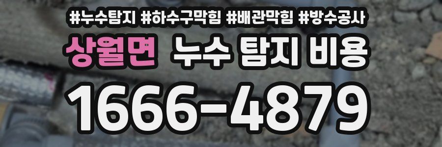 상월면 누수 탐지 비용