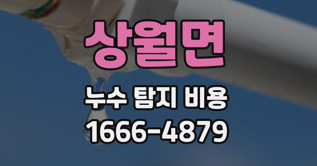 상월면 누수 탐지 비용