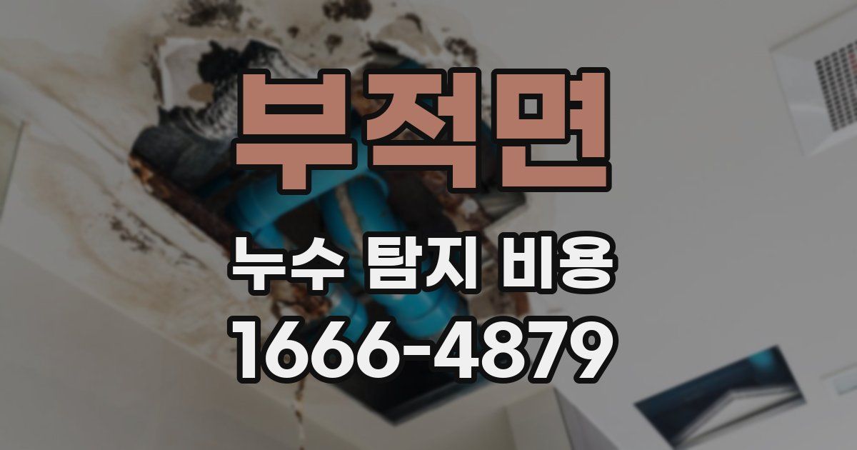 부적면 누수 탐지 비용