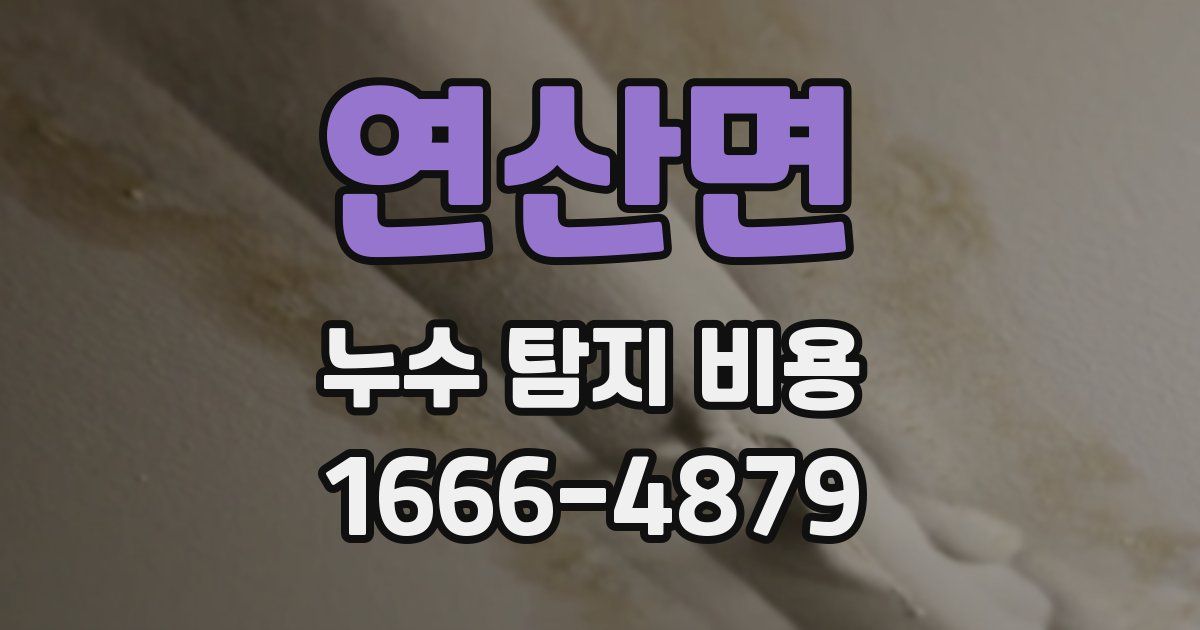연산면 누수 탐지 비용