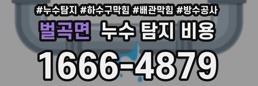 벌곡면 누수 탐지 비용