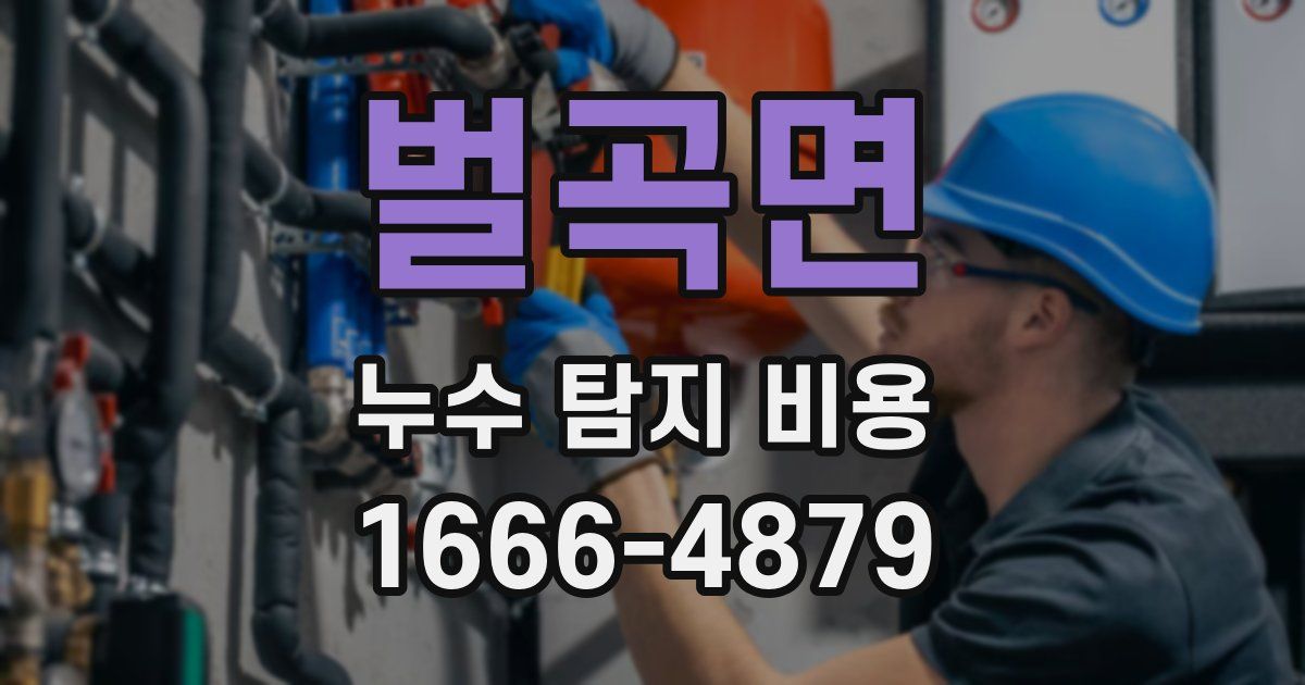 벌곡면 누수 탐지 비용