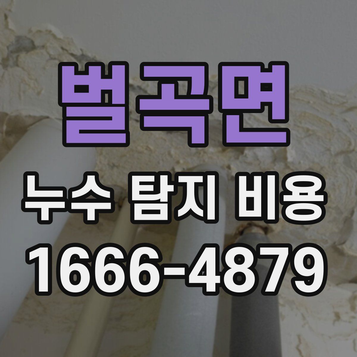 벌곡면 누수 탐지 비용