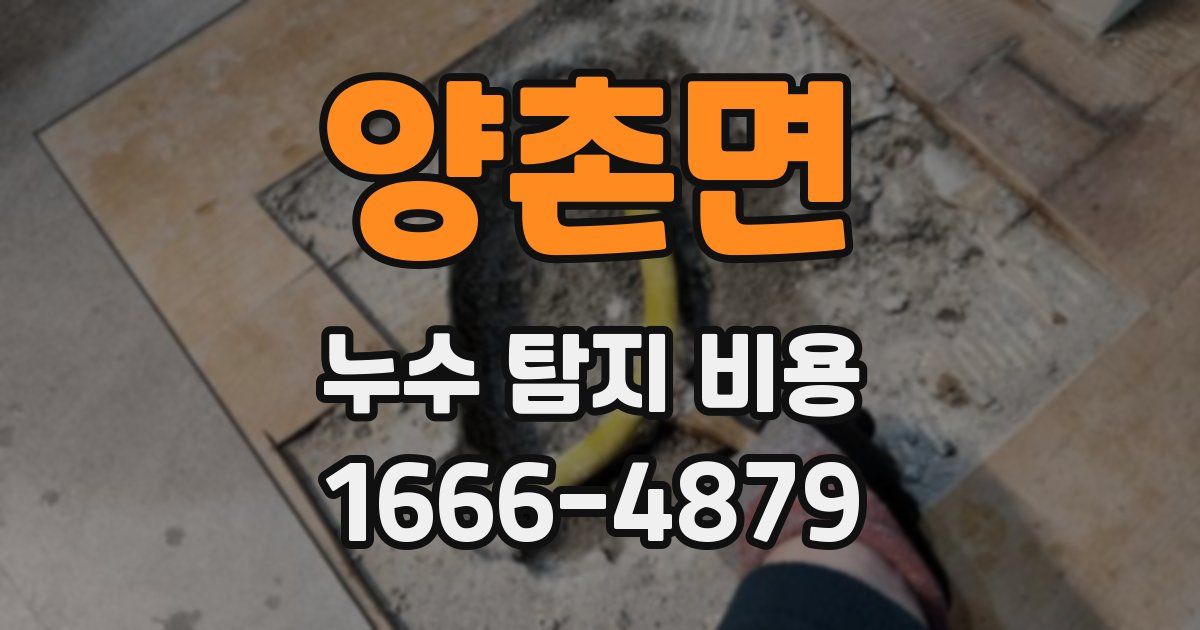 양촌면 누수 탐지 비용
