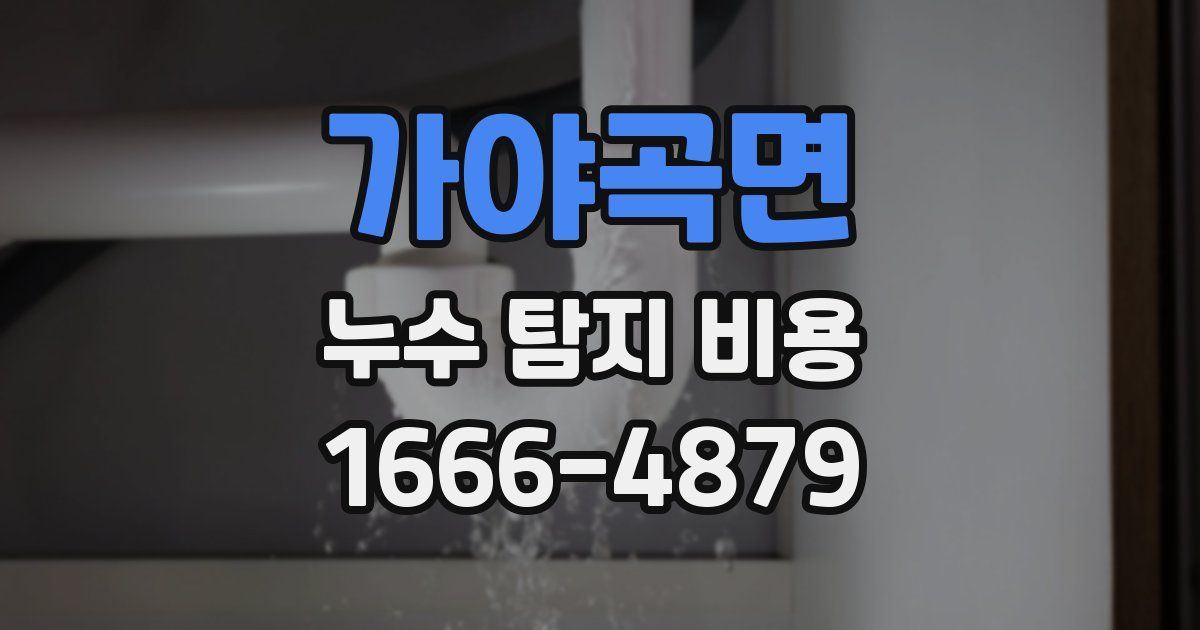 가야곡면 누수 탐지 비용