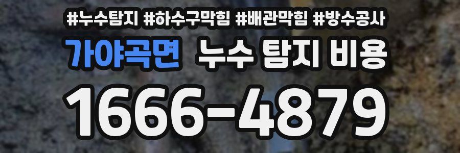 가야곡면 누수 탐지 비용