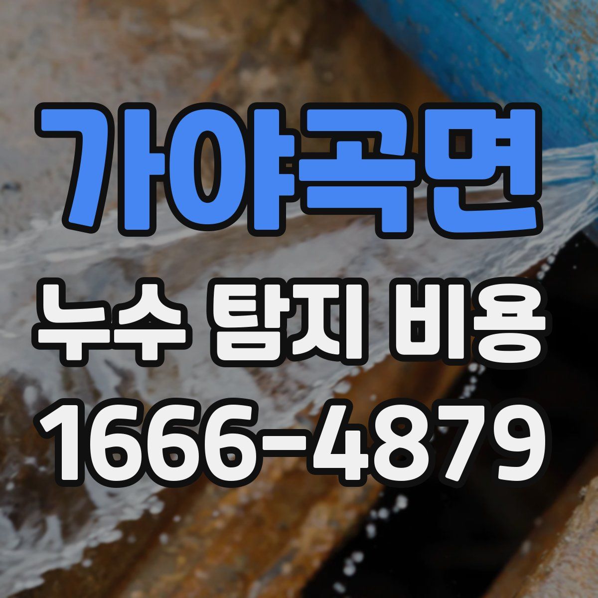 가야곡면 누수 탐지 비용