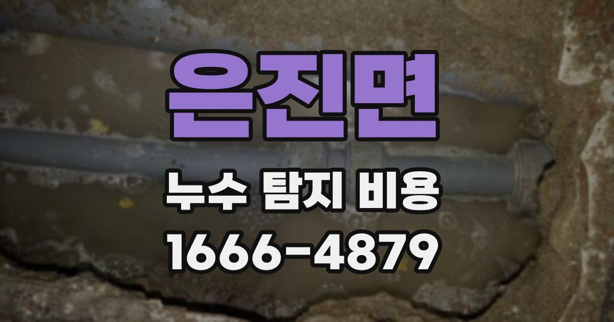 은진면 누수 탐지 비용