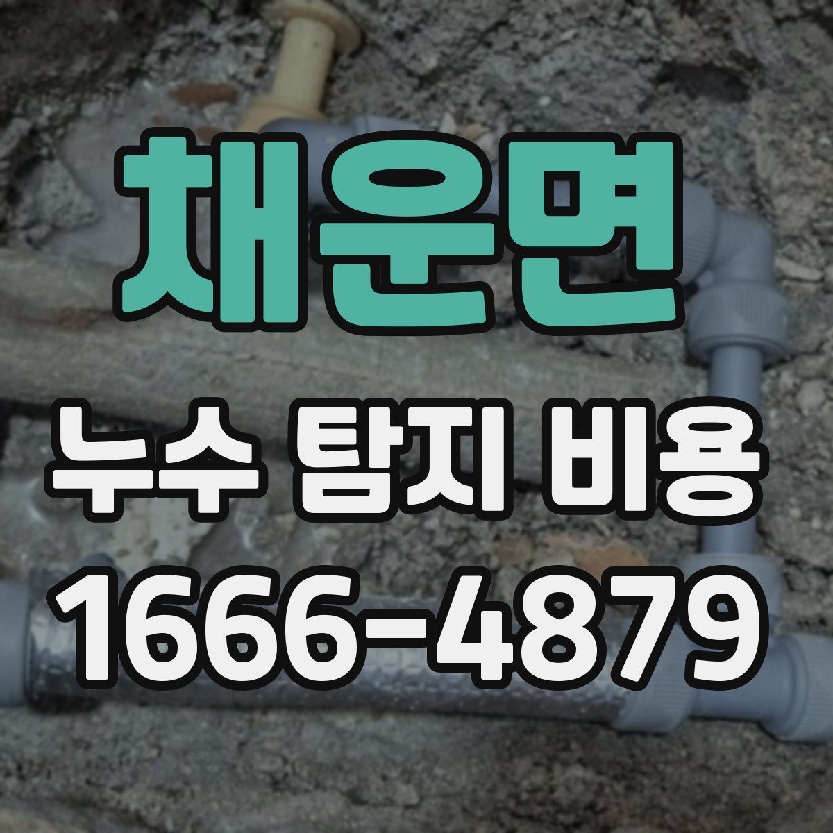채운면 누수 탐지 비용