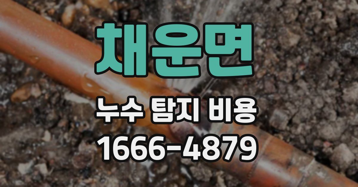 채운면 누수 탐지 비용
