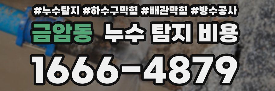 금암동 누수 탐지 비용