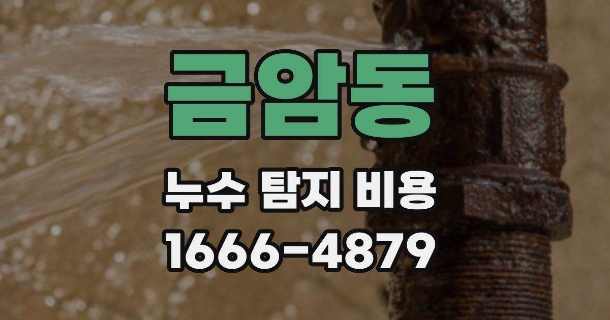 금암동 누수 탐지 비용