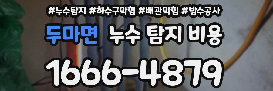 두마면 누수 탐지 비용
