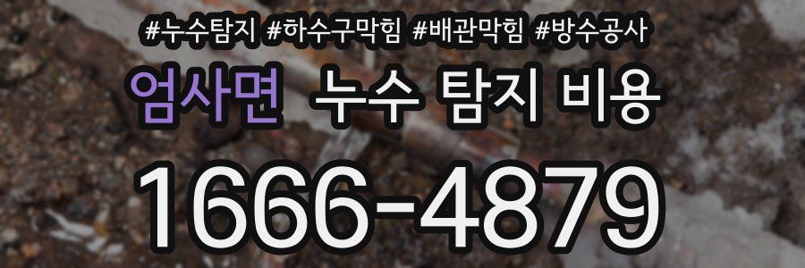 엄사면 누수 탐지 비용
