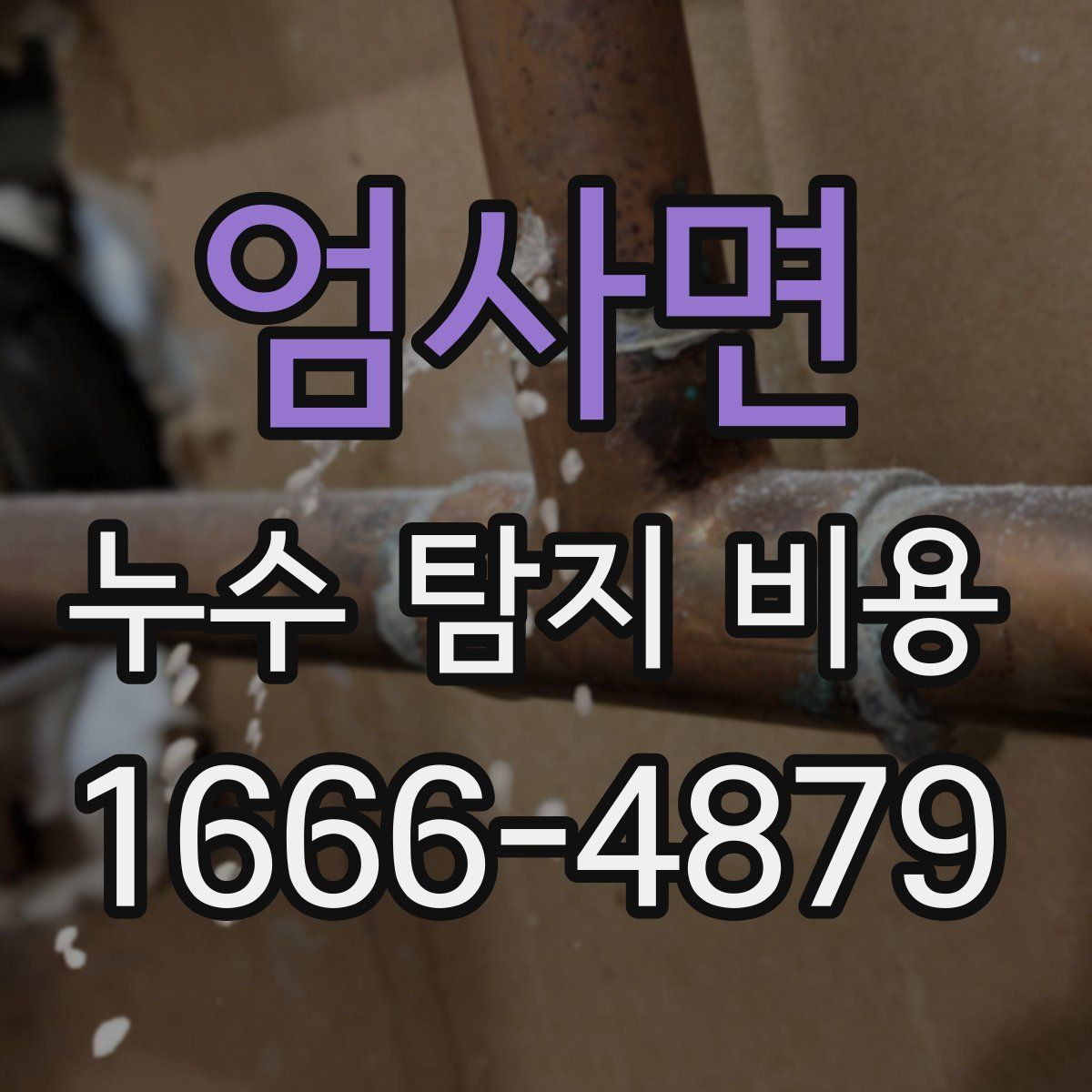 엄사면 누수 탐지 비용