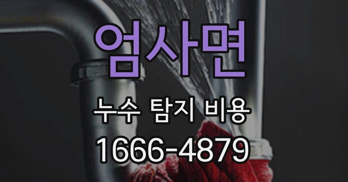 엄사면 누수 탐지 비용