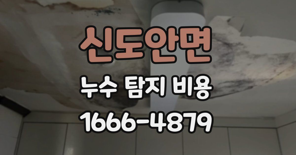 신도안면 누수 탐지 비용