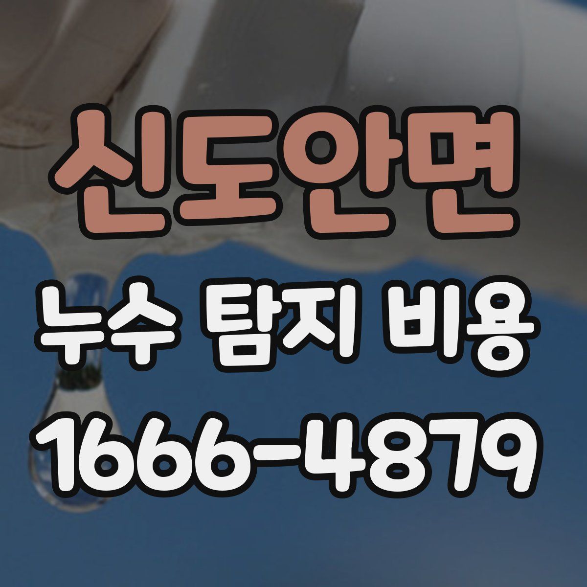 신도안면 누수 탐지 비용