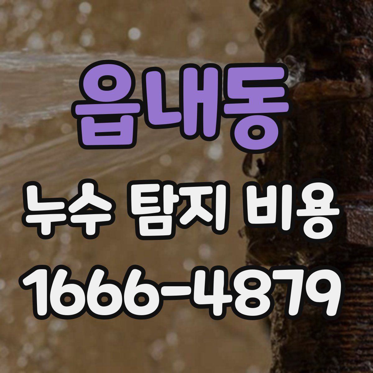 읍내동 누수 탐지 비용