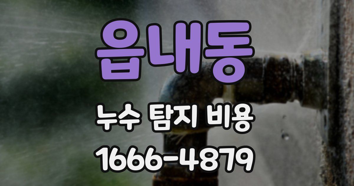 읍내동 누수 탐지 비용