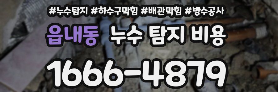 읍내동 누수 탐지 비용