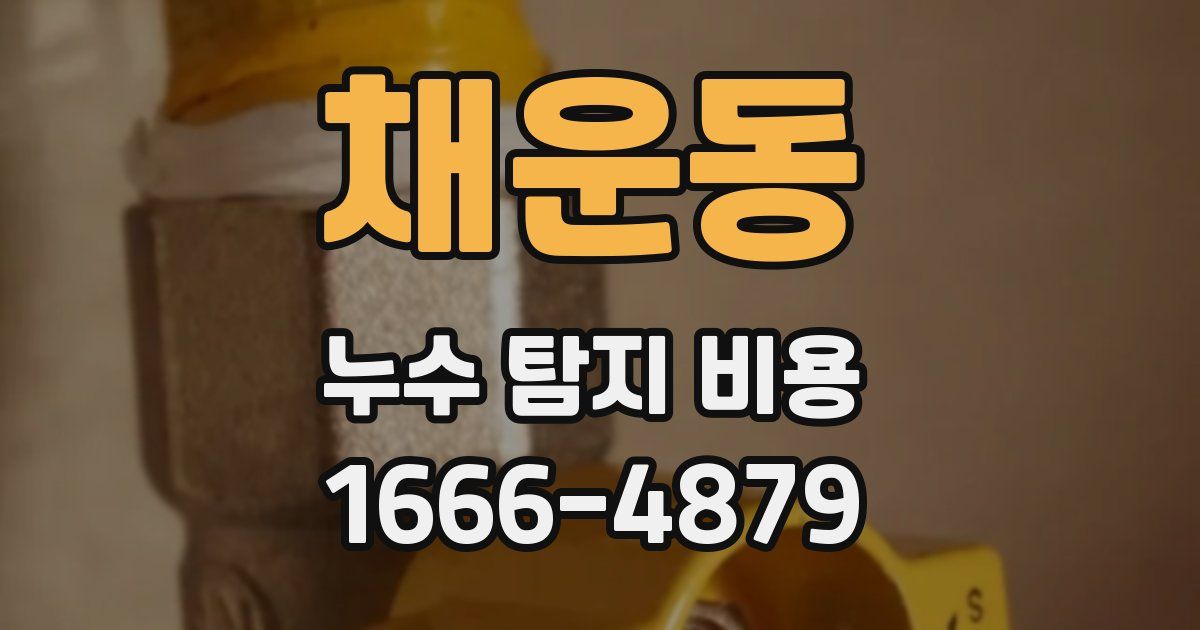 채운동 누수 탐지 비용