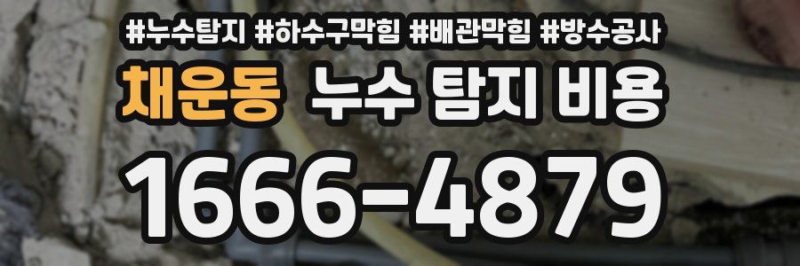 채운동 누수 탐지 비용