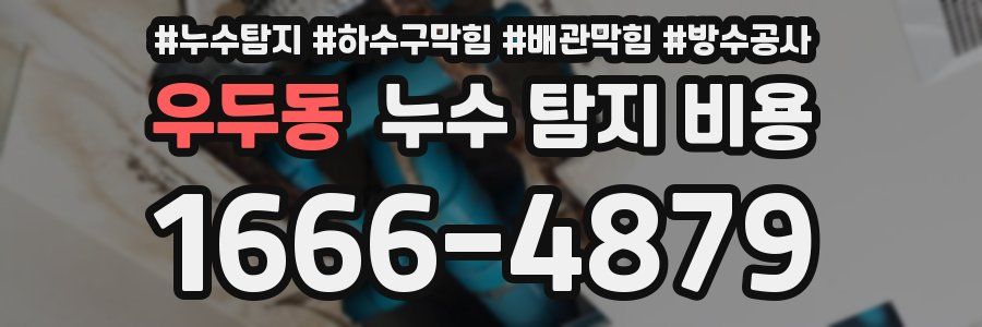 우두동 누수 탐지 비용