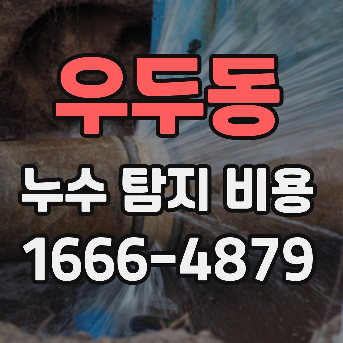 우두동 누수 탐지 비용