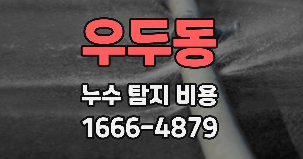 우두동 누수 탐지 비용