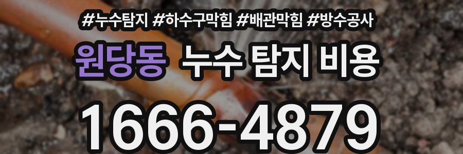 원당동 누수 탐지 비용