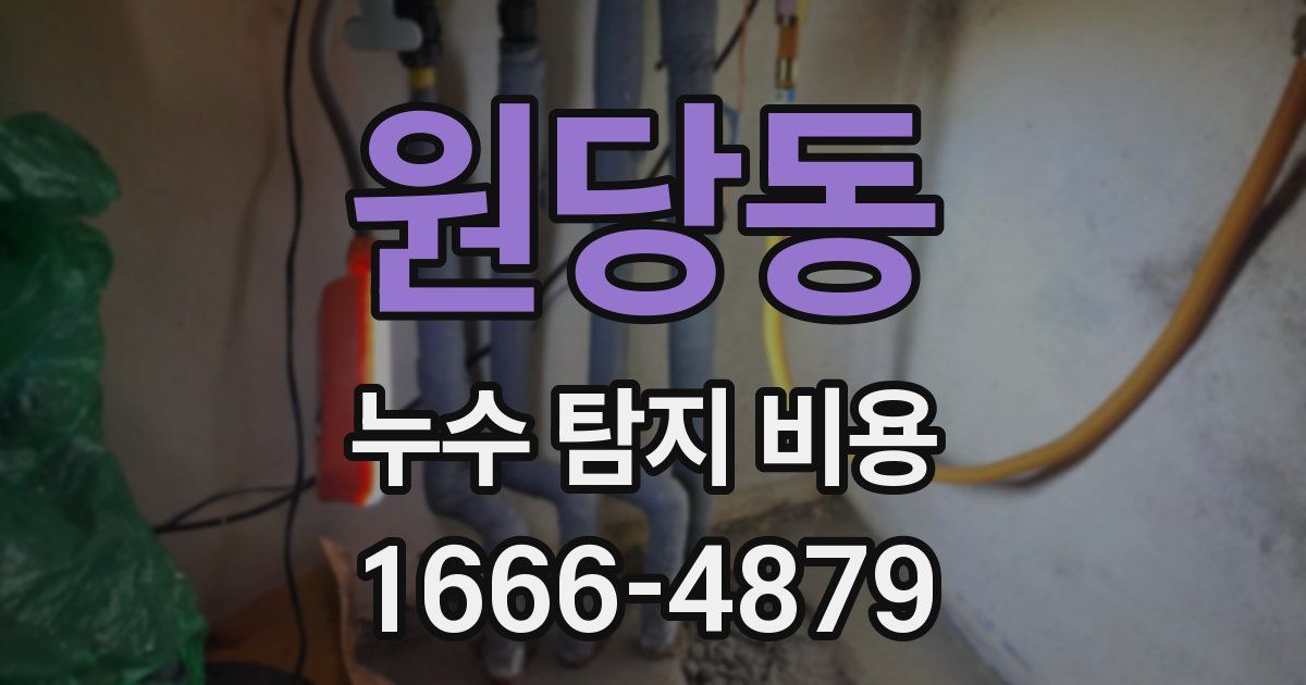 원당동 누수 탐지 비용