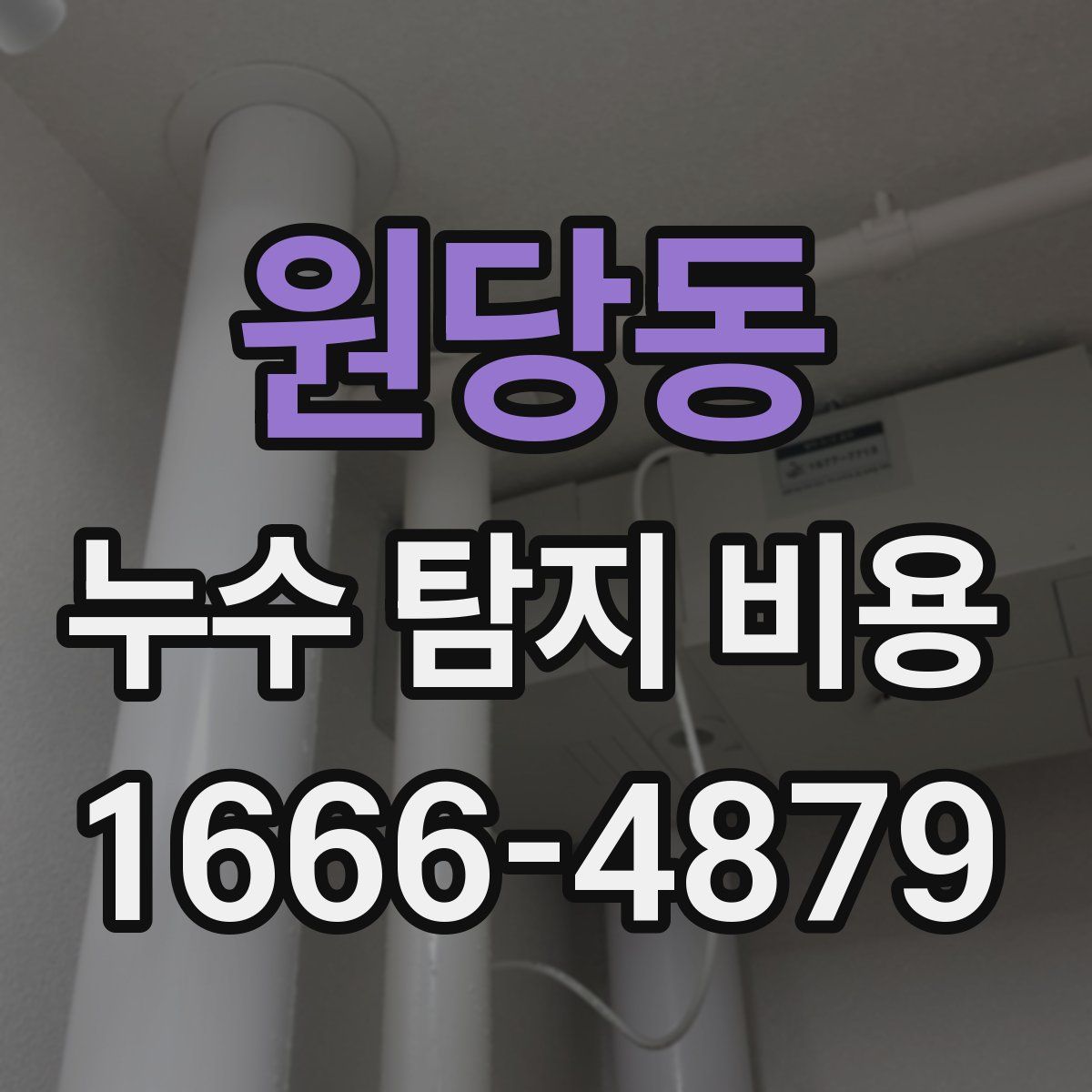 원당동 누수 탐지 비용