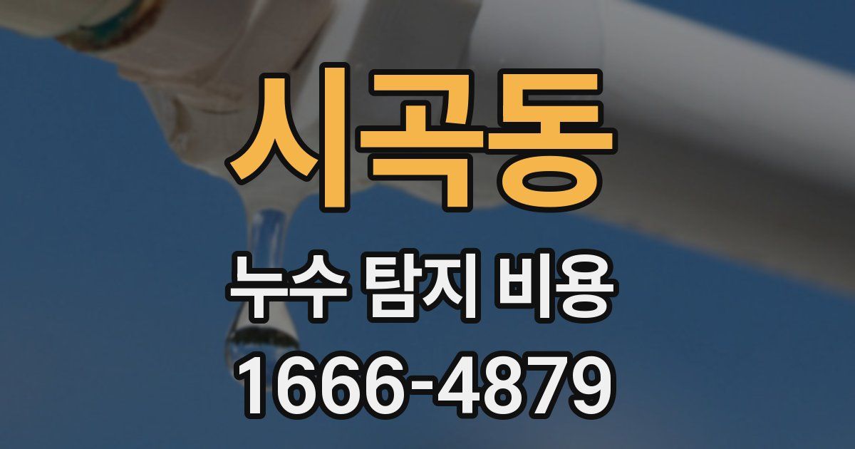 시곡동 누수 탐지 비용