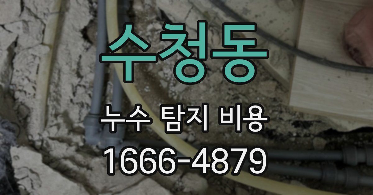 수청동 누수 탐지 비용