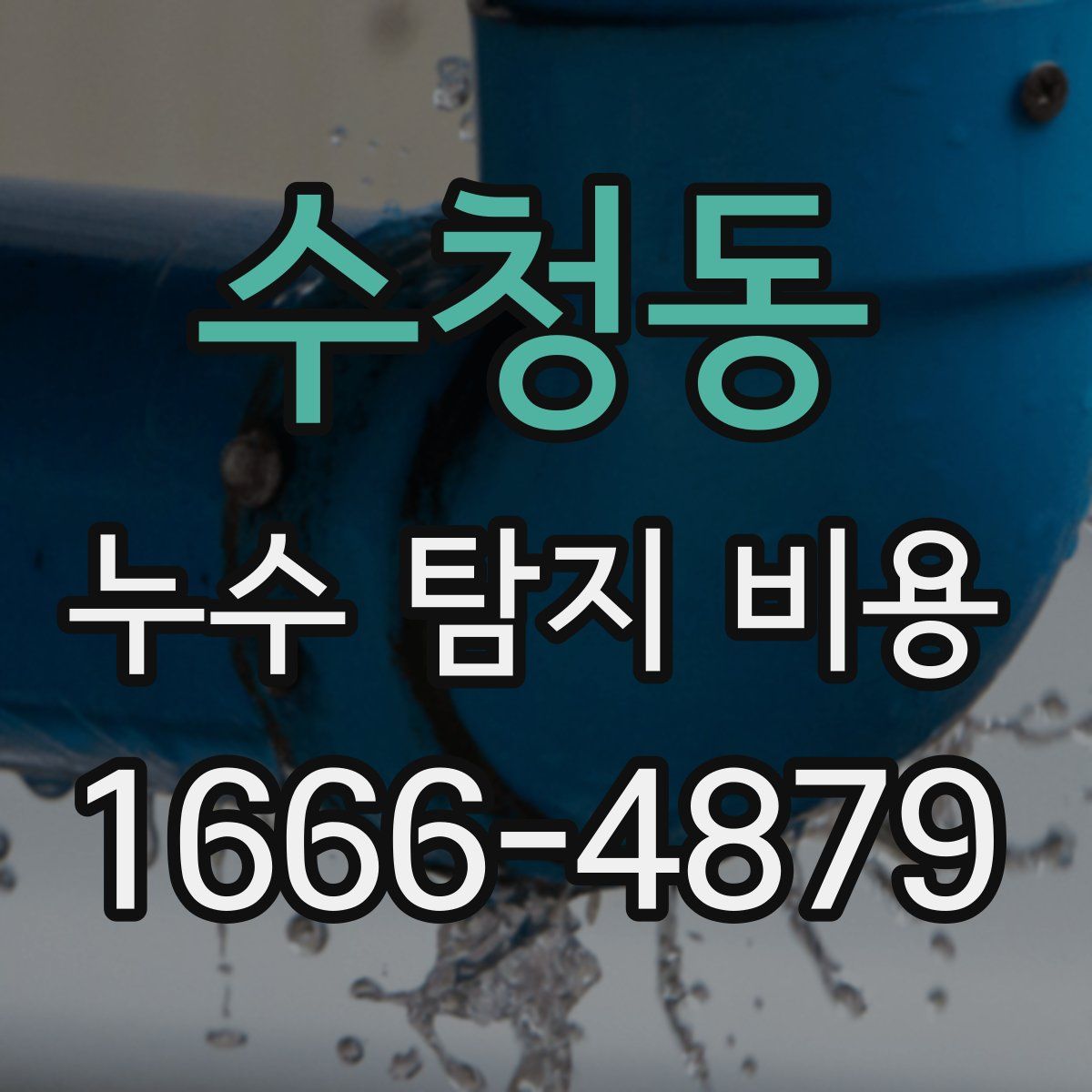 수청동 누수 탐지 비용
