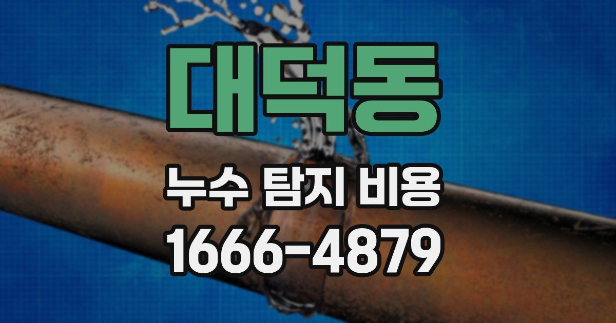 대덕동 누수 탐지 비용