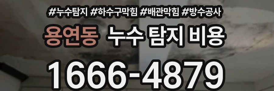 용연동 누수 탐지 비용