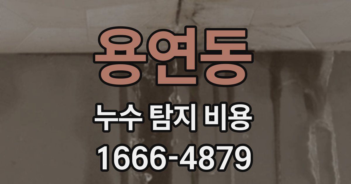 용연동 누수 탐지 비용