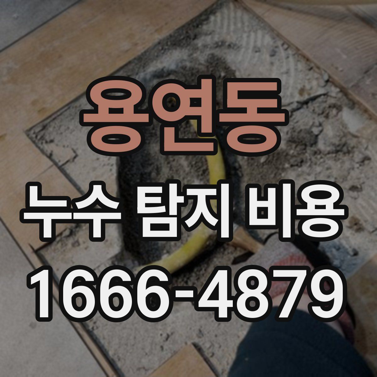 용연동 누수 탐지 비용
