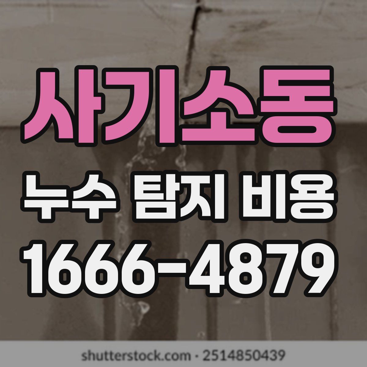 사기소동 누수 탐지 비용