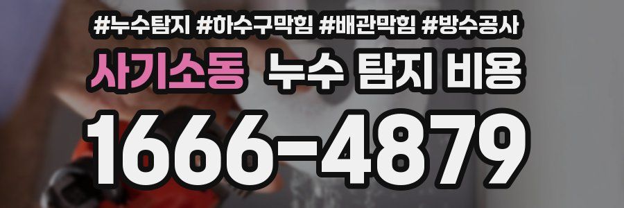 사기소동 누수 탐지 비용
