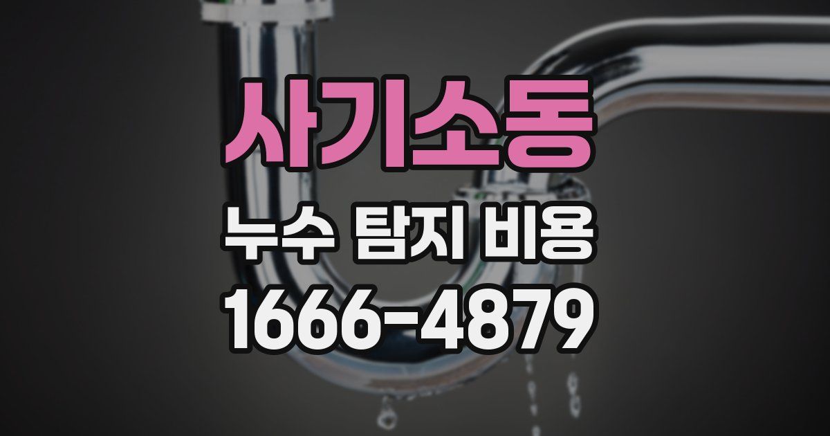 사기소동 누수 탐지 비용