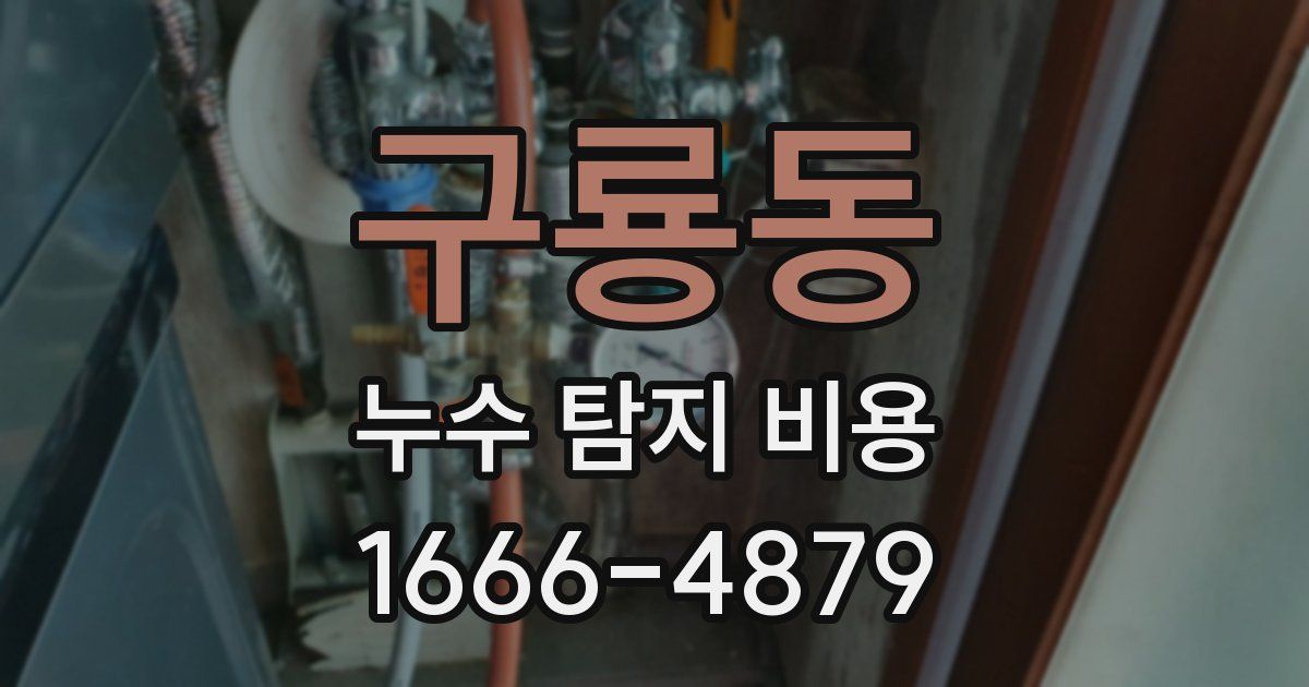 구룡동 누수 탐지 비용
