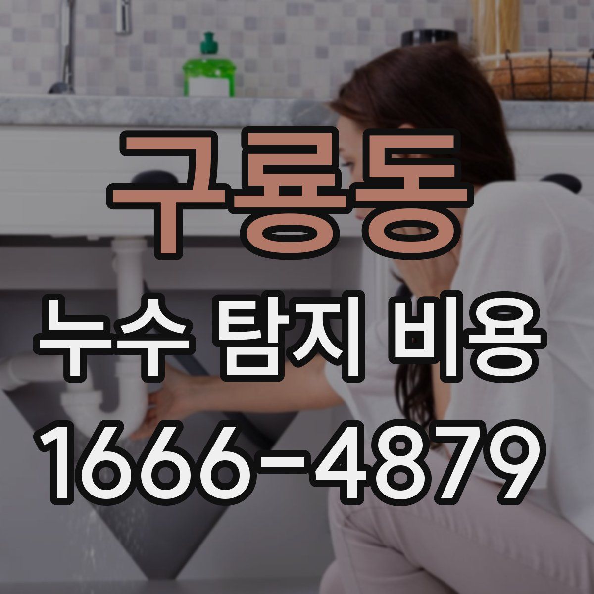 구룡동 누수 탐지 비용